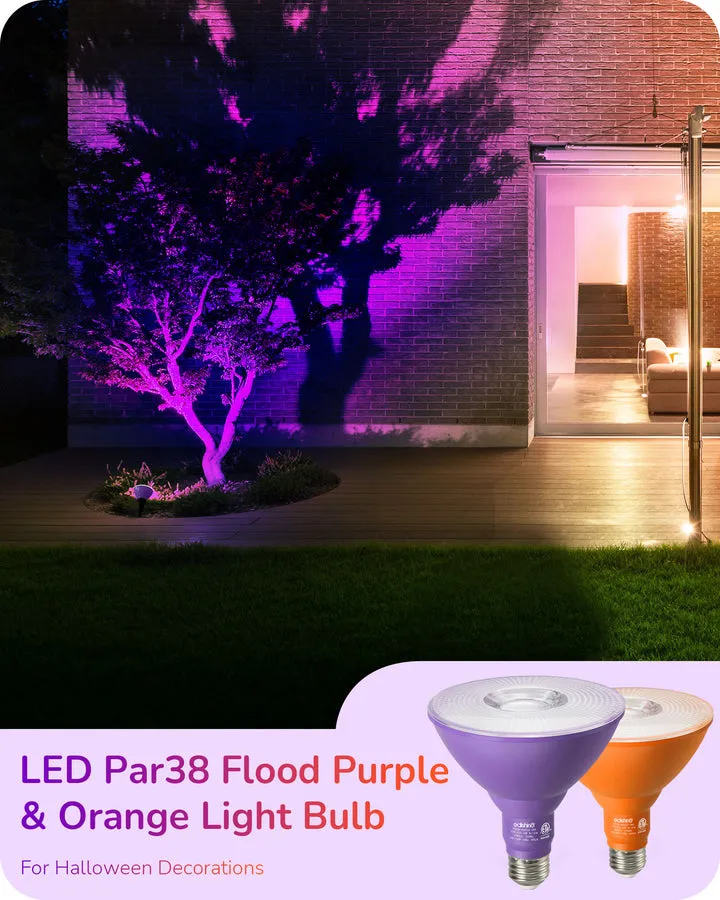 Dimmable 18W(120W Equivalent) E26 Base Purple & Orange Flood Light Bulb, 2 Pack-HDCP38A