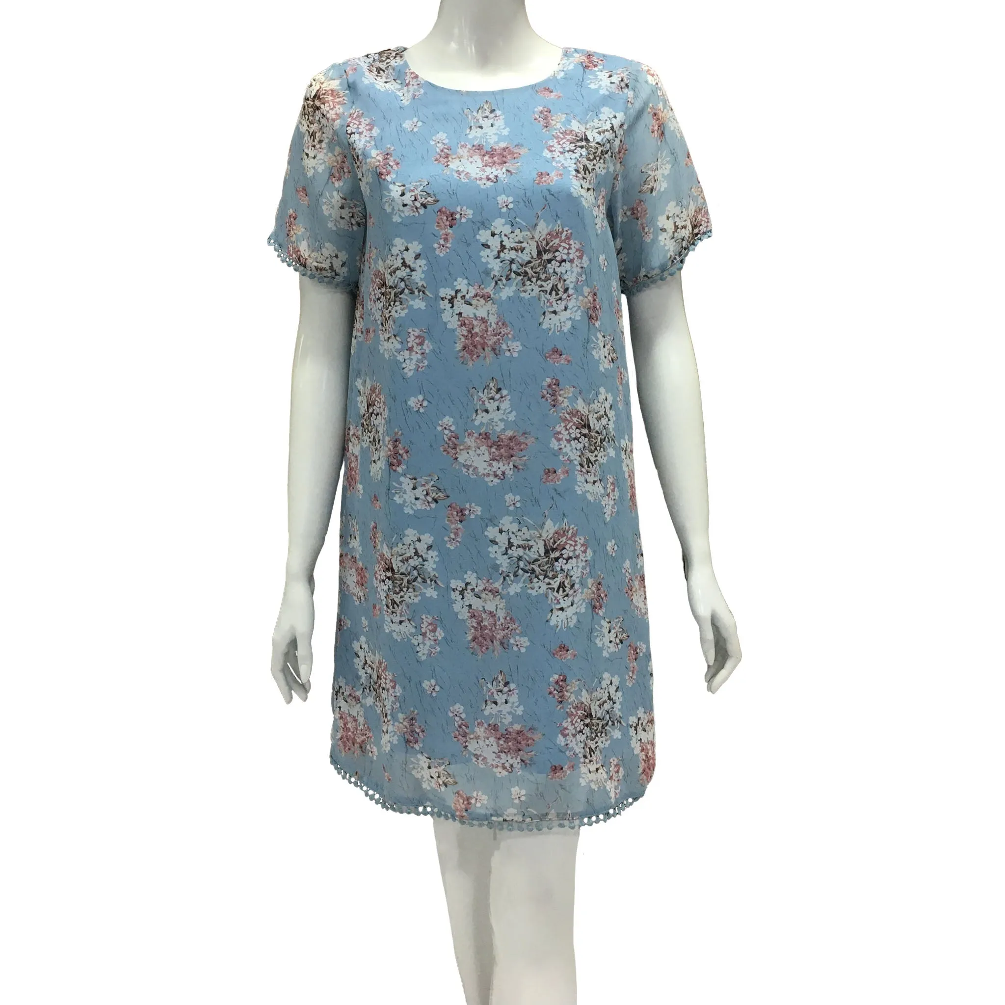 Joan Allen Floral Print Dress in Baby Blue