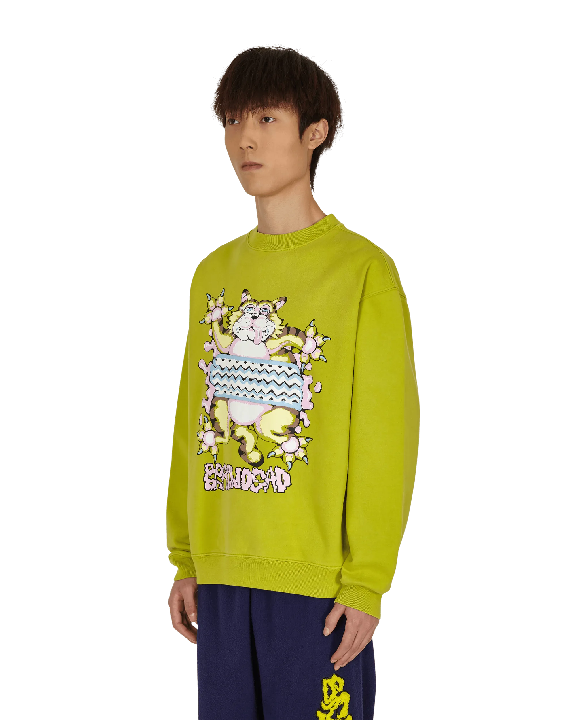 Relaxed Cat Crewneck Sweatshirt Green