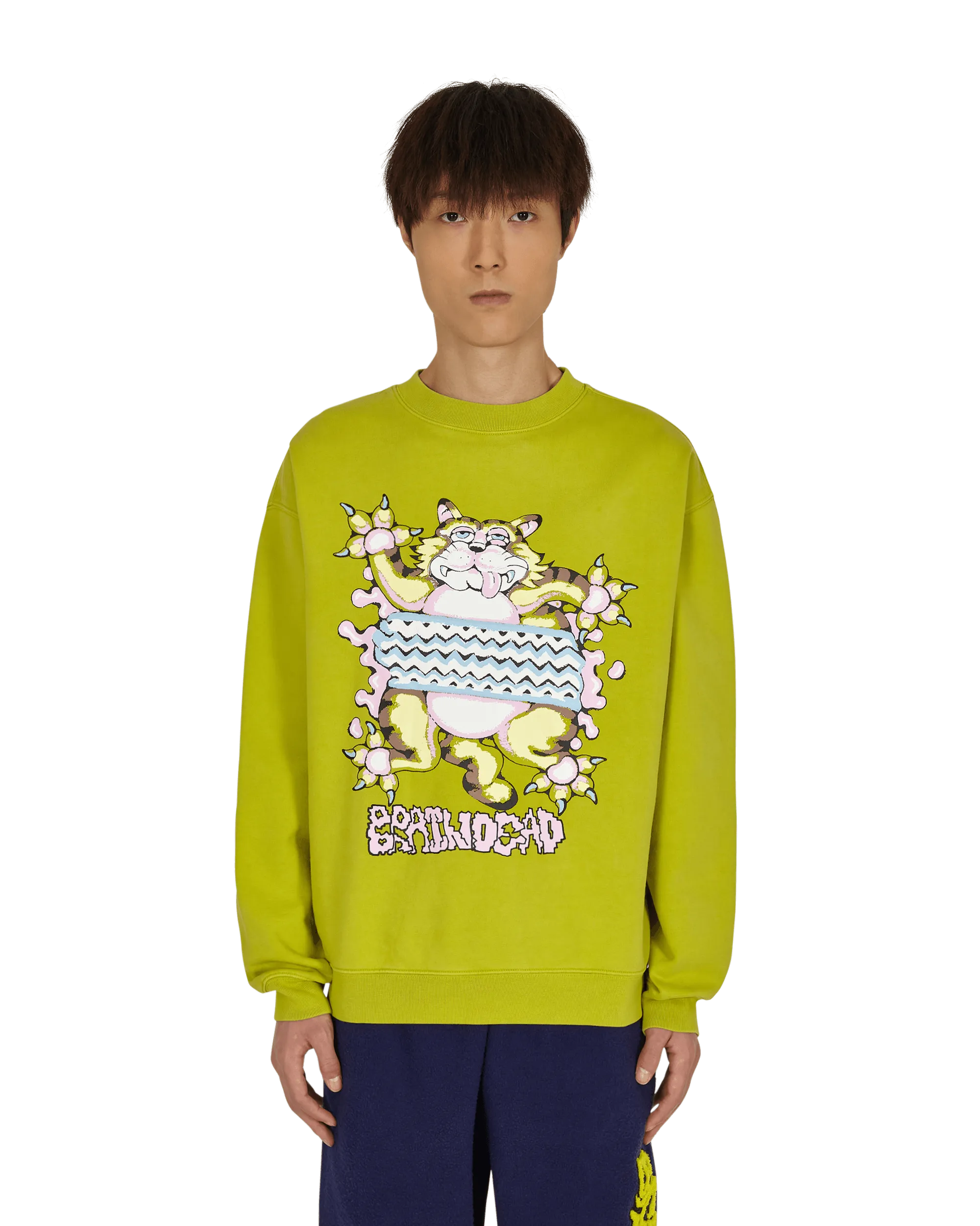 Relaxed Cat Crewneck Sweatshirt Green